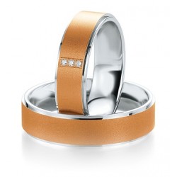 Alliance breuning  Argent & Or 585/1000